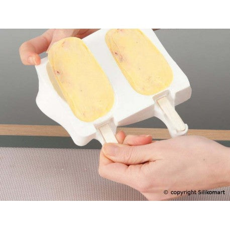 SET 2 MOLDES HELADO ICECREAM CLASSIC SET GEL01