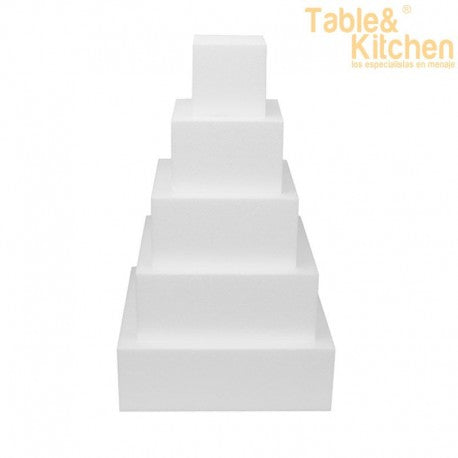 DUMMIE CUADRADO 20X10CM