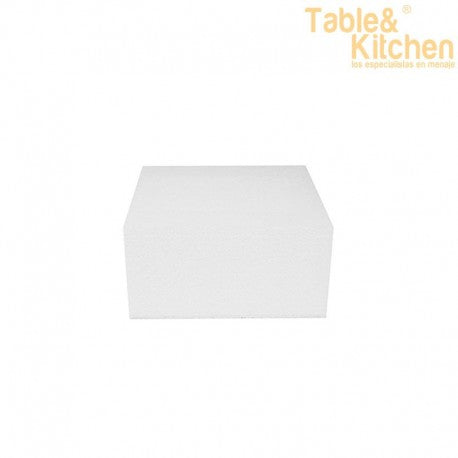 DUMMIE CUADRADO 20X10CM