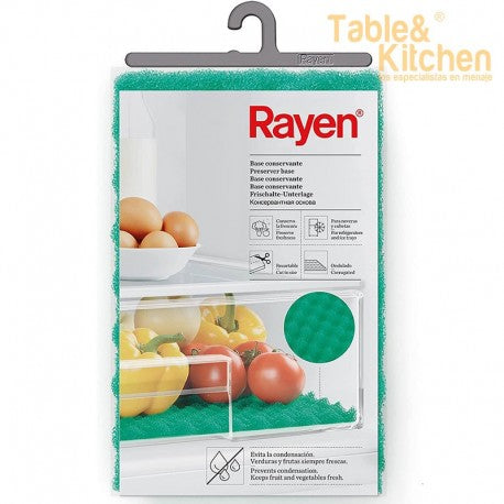 BASE CONSERVANTE FRIGORIFICO RAYEN