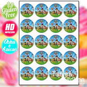 IMPRESIÓN COMESTIBLE PARA GALLETAS PATRULLA CANINA  MODELO 005