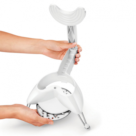 RALLADOR / CORTADOR CON PIES JULIENNE