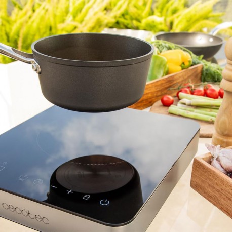 PLACA DE INDUCCION FULL MAGMA SINGLE